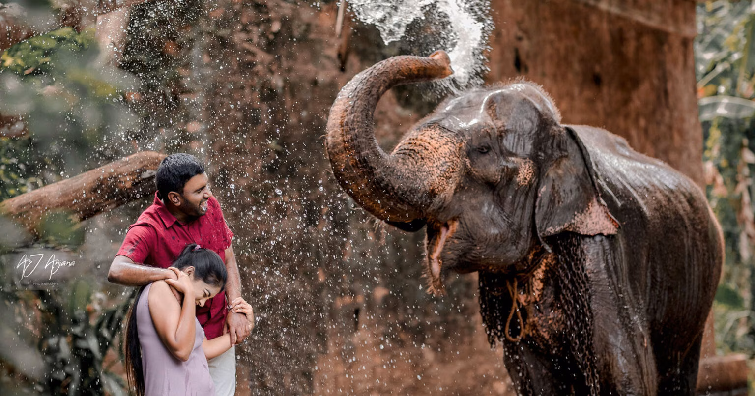 Sri Lankan bridal photoshoot - Beautiful Sri Lankan girl Nisansala &  Ranga wedding & preshoot | YOU Magazine LK