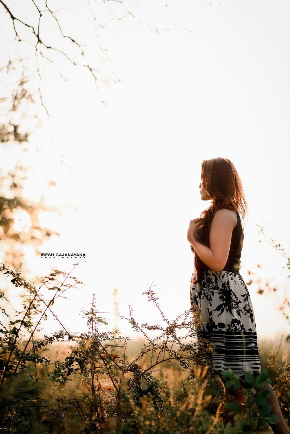 Ambient glow